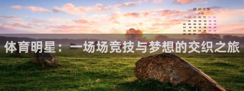 77体育官网