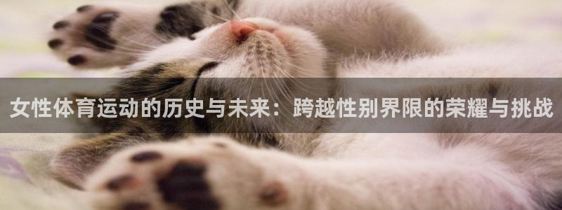 皇冠277体育