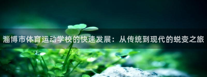 77体育app下载官网：淄博市体育运动学校的快速发展：从传统到现代的蜕变之旅