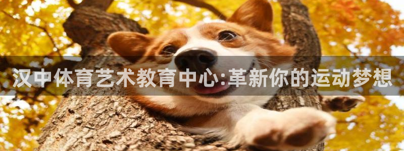 77体育app下载官网：汉中体育艺术教育中心:革新你的运动梦想