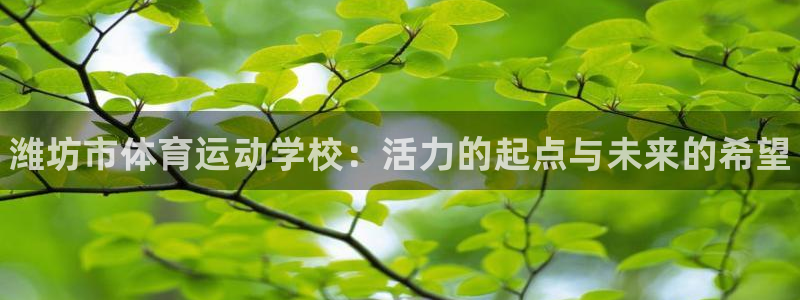 77体育官网：潍坊市体育运动学校：活力的起点与未来的希望