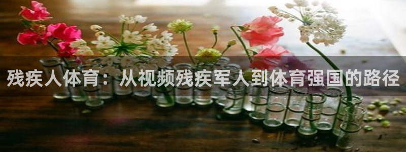 皇冠277体育：残疾人体育：从视频残疾军人到体育强国的路径