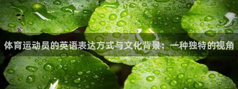 77体育官网：体育运动员的英语表达方式与文化背景：一种独特的视角