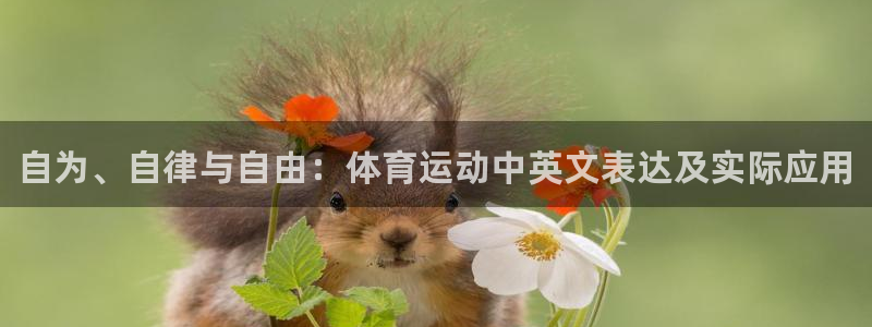 77体育