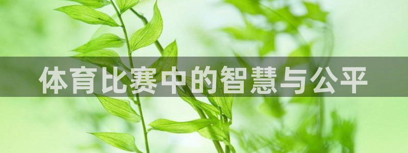 77体育app下载官网