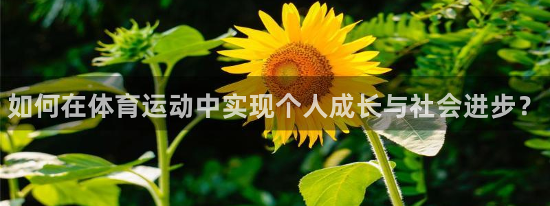 77体育app下载官网