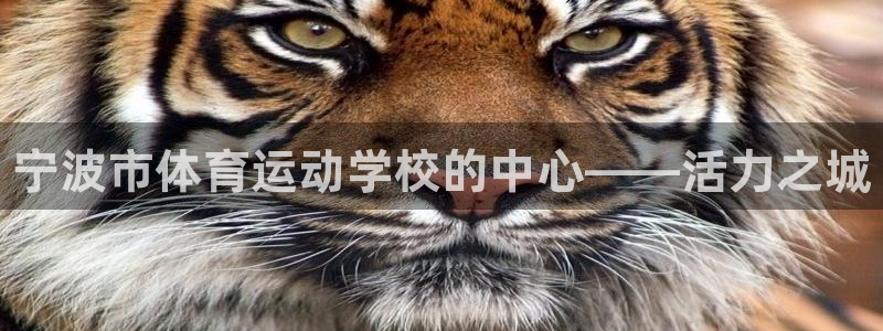 皇冠277体育