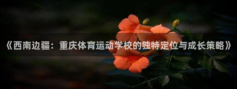 77体育：《西南边疆：重庆体育运动学校的独特定位与成长策略》