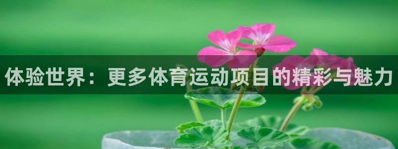 77体育app下载官网：体验世界：更多体育运动项目的精彩与魅力