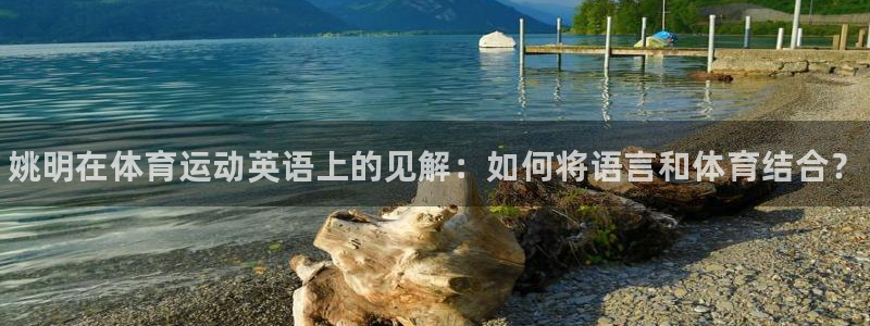 77体育app下载官网：姚明在体育运动英语上的见解：如何将语言和体育结合？