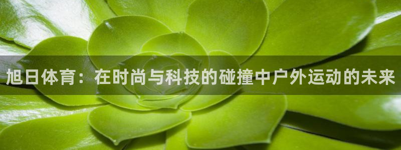 77体育官网：旭日体育：在时尚与科技的碰撞中户外运动的未来
