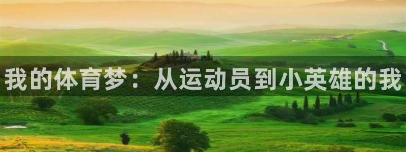 皇冠277体育：我的体育梦：从运动员到小英雄的我