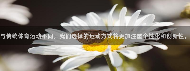77体育官网：与传统体育运动不同，我们选择的运动方式将更加注重个性化和创新性。