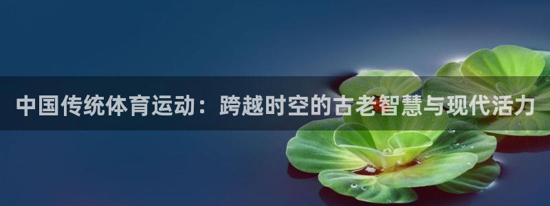 77体育官网：中国传统体育运动：跨越时空的古老智慧与现代活力