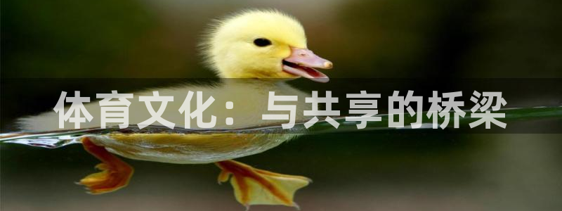 77体育：体育文化：与共享的桥梁