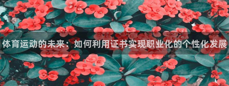 皇冠277体育：体育运动的未来：如何利用证书实现职业化的个性化发展
