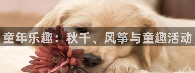77体育：童年乐趣：秋千、风筝与童趣活动