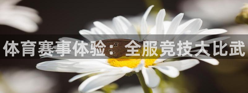 77体育：体育赛事体验：全服竞技大比武