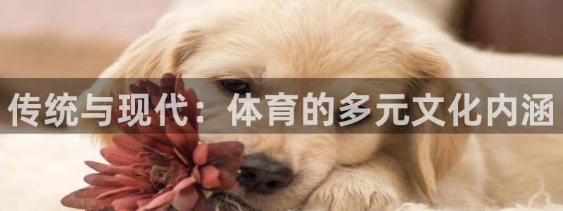 77体育：传统与现代：体育的多元文化内涵