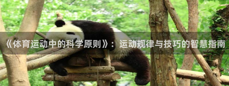 77体育app下载官网：《体育运动中的科学原则》：运动规律与技巧的智慧指南